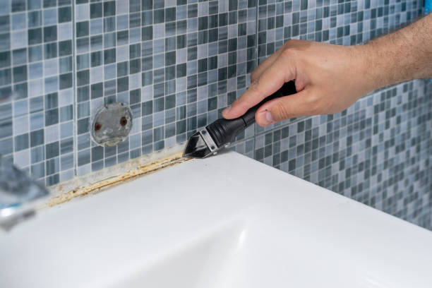 Best Same-Day Mold Removal  in Laguna Vista, TX