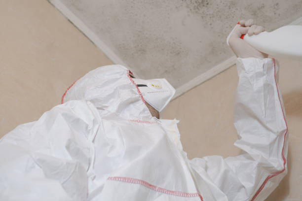 Best Residential Mold Removal  in Laguna Vista, TX